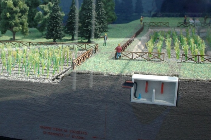 Diorama fitodepurazione